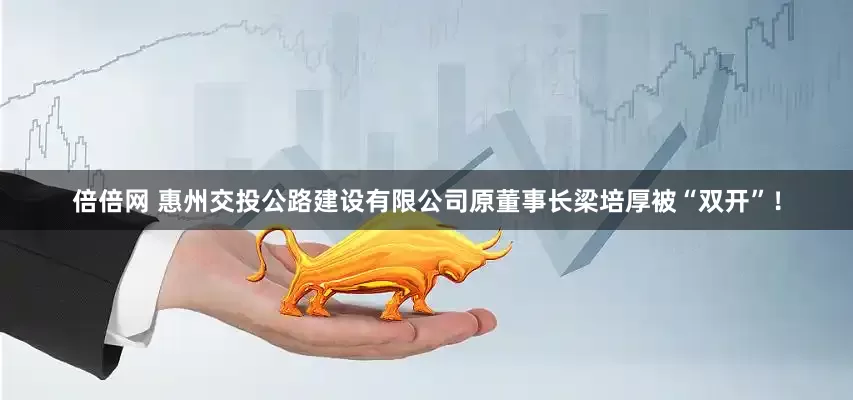 倍倍网 惠州交投公路建设有限公司原董事长梁培厚被“双开”！